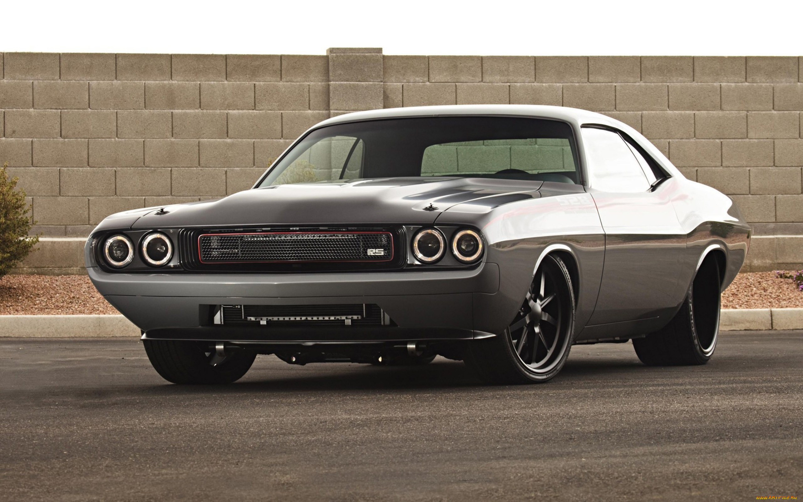 dodge challenger, , dodge, challenger, , , , , , 